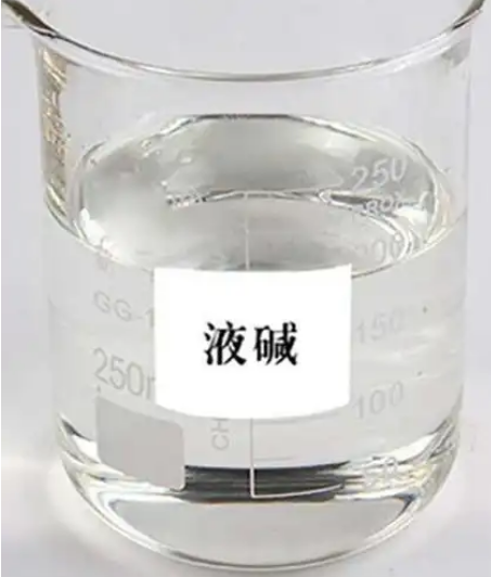 1742790495611.jpg 1742790495611.jpg